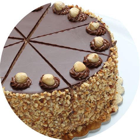 fotografija lepo okrašene presne torte