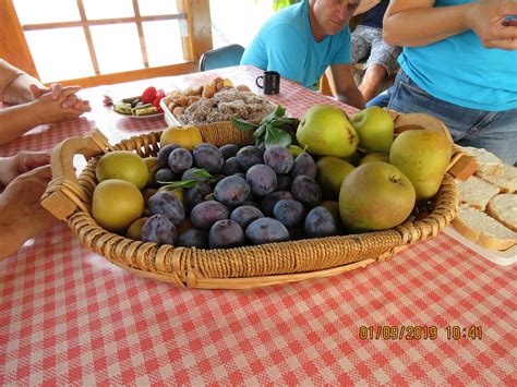 Prikaz pripravljenih jesenskih slanih prigrizkov