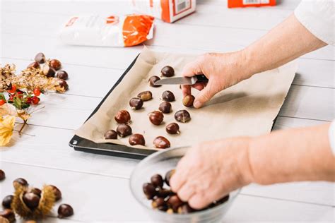 Ilustracija jesenskega kostanja in tortnih sestavin