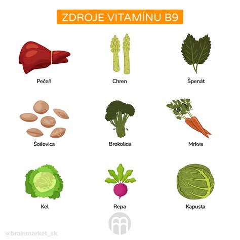 Infografika o vitaminu B9 in njegovih koristih