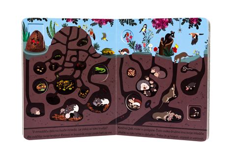 ilustracija rastline TomTato, ki prikazuje plodove paradižnika nad zemljo in gomolje krompirja pod zemljo