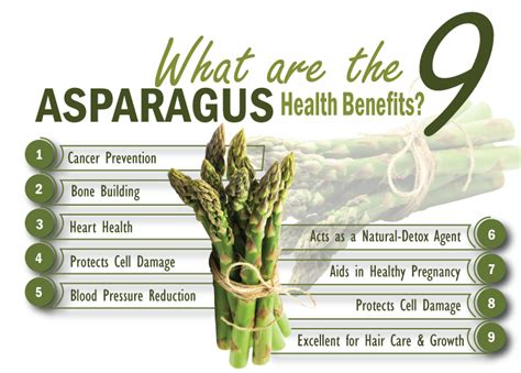 Infographic showing health benefits of asparagus