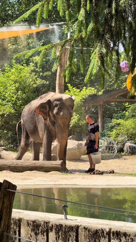 Fotografija otrok, ki opazujejo piščance v inkubatorju v ZOO Ljubljana.