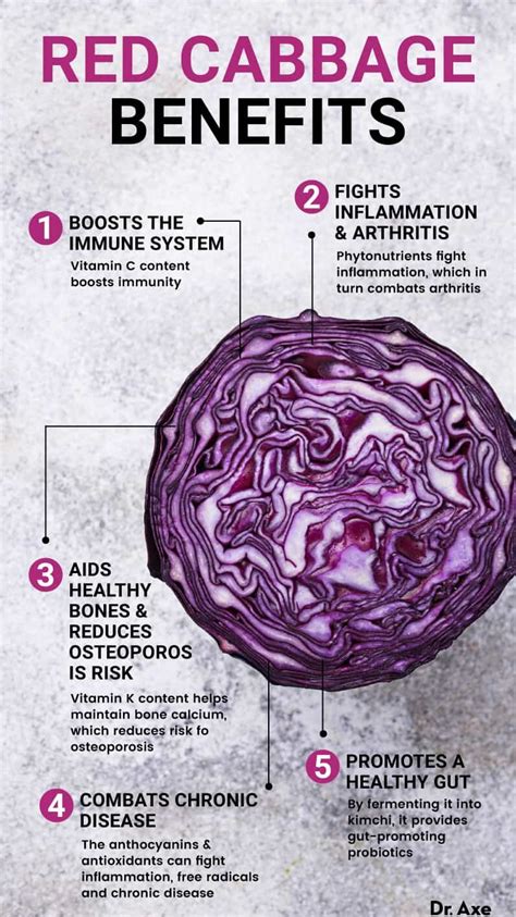 Infographics on the benefits of red cabbage