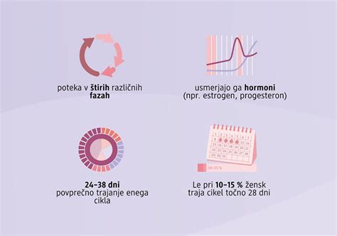 Infografika: Cikel pridelave in zorenja sira s plesnijo