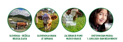Infografika: pot mesa od kmetije do trgovine s poudarkom na kratkih dobavnih poteh.