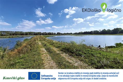 Fotografija slovenskih ekstenzivnih travnikov