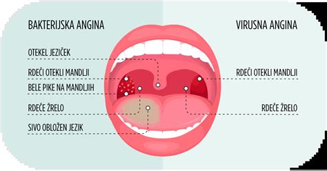infografika: razlika med rženim, mešanim rženim in belim kruhom glede na delež moke
