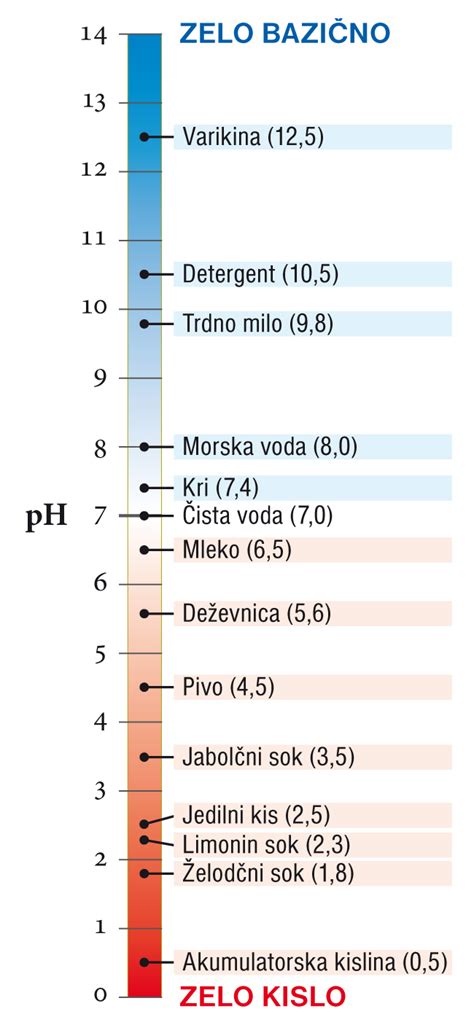 Tabela kaloričnih vrednosti različnih načinov priprave svinjine