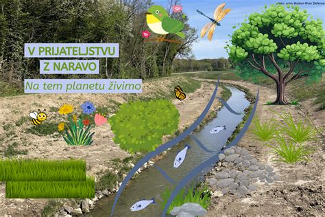 Tematska fotografija izobraževalnega okolja