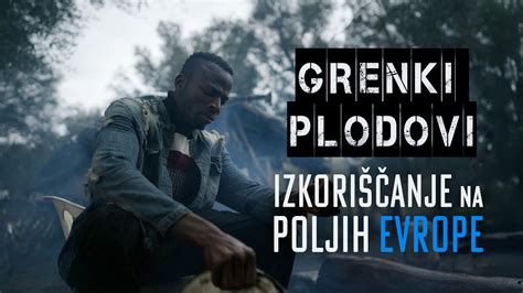 Ilustracija delavcev na poljih riža, ki pripravljajo paello na odprtem ognju