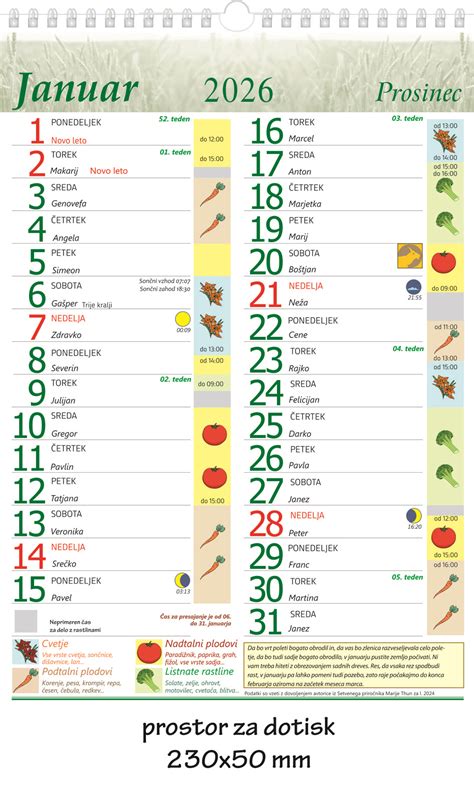 Ilustracija vrtičkarja, ki pregleduje setveni koledar s koledarjem za marec