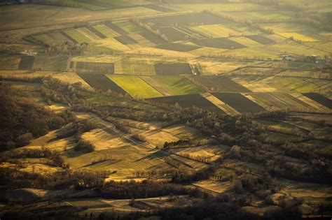 Tematska fotografija njive krompirja v Sloveniji