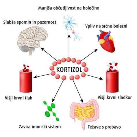 Diagram vpliva dušikovega oksida na telo