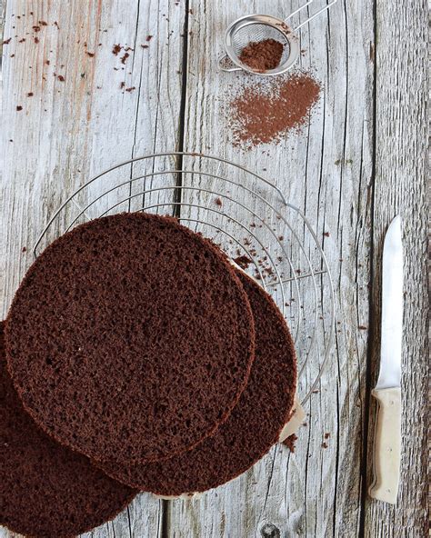 Ilustracija sestavin za čokoladno torto z rdečim sadjem