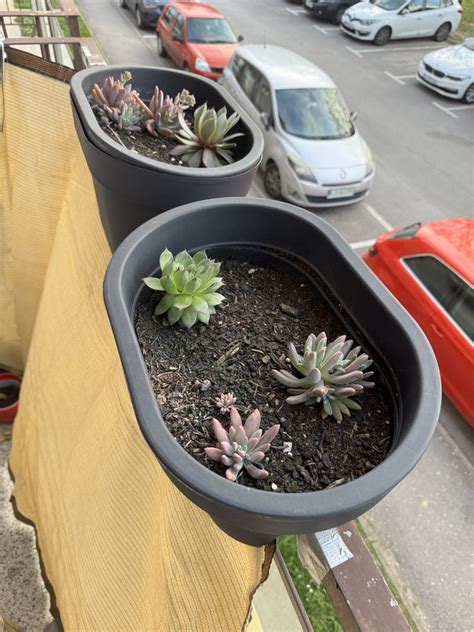 različni modeli cvetličnih loncev z drenažnimi luknjami in krožniki