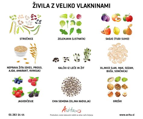 Infografika: Živila bogata z vlakninami za otroke