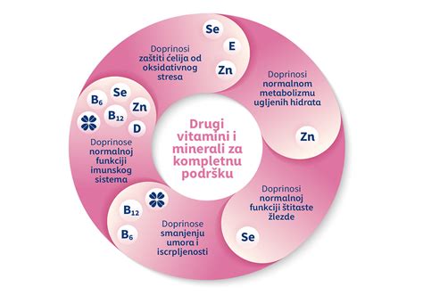 Infografika o hranilnih vrednostih lešnikov (vitamini, minerali, maščobe)