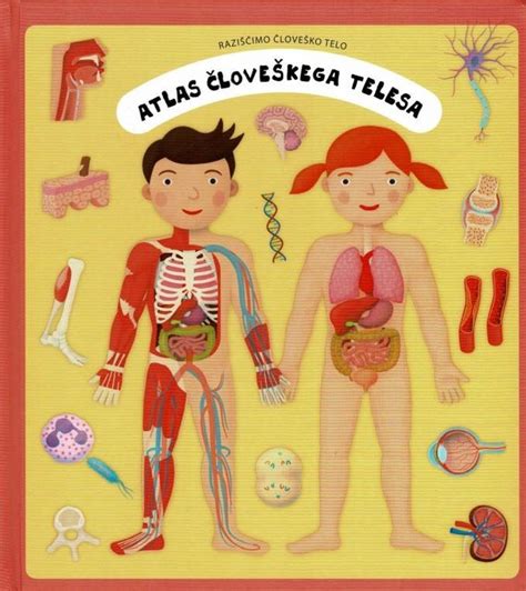 shematski prikaz človeškega telesa, ki označuje kritične dele, kjer je kolagen nepogrešljiv (koža, kosti, sklepi, vezi)