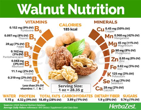 Infographics on the nutritional value of walnuts