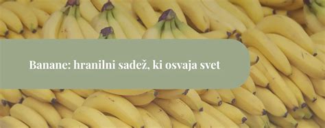 Infografika o hranilni vrednosti korenja (vitamini, minerali, vlaknine, antioksidanti)