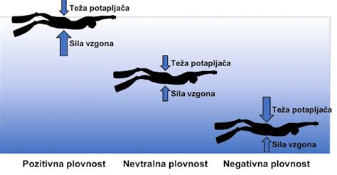 shema zračnega mehurčka v jajcu in kako ta vpliva na plovnost v vodi