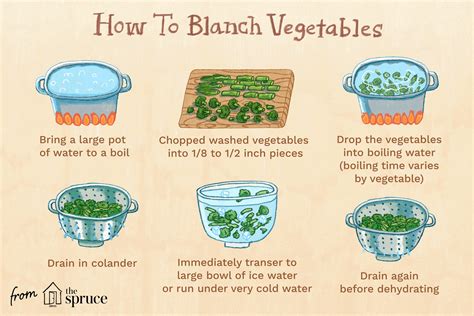 Infographic showing the process of blanching spinach
