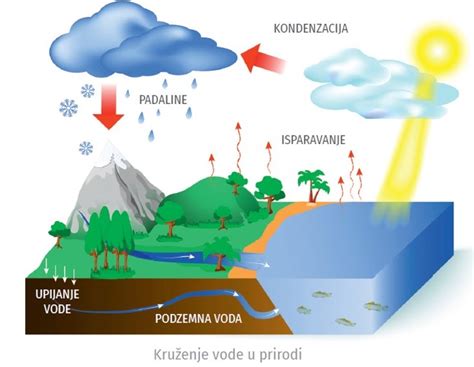 Infografika: porazdelitev vode na Zemlji (slana voda, led, pitna voda)