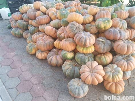 fotografija pite iz muškatne buče in sončničnih semen