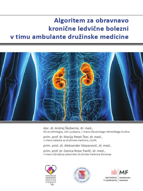 shema delovanja ambulante družinske medicine in preventivne dejavnosti