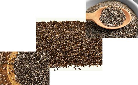 Prikaz različnih jedi z dodatkom chia semen