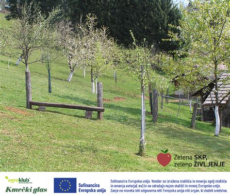 infografika o sistemih zaščite sadovnjakov (oroševanje, mreže, namakanje)
