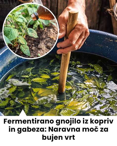 Fotografija priprave gnojila iz gabeza