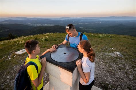 Tematska fotografija različnih vrst pic, vključno z belimi picami
