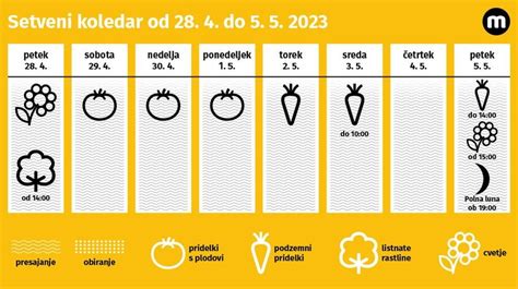 Infografika: Prepoznavanje in boj proti najpogostejšim boleznim in škodljivcem paprike
