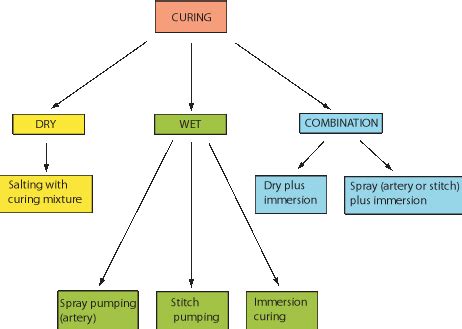 Diagram illustrating the dry curing process of meat