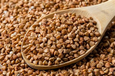 Thematic photo of buckwheat groats