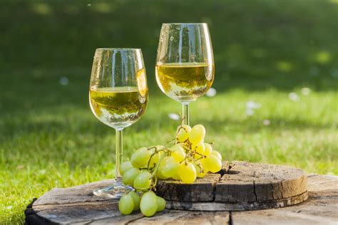 Tematska fotografija: kozarec belega vina in sestavine za pripravo piščanca