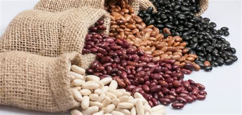 Ilustracija različnih vrst fižola, graha in soje.