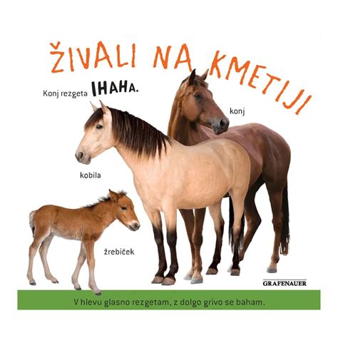 Infografika, ki prikazuje vpliv starosti živali na teksturo mišičnih vlaken in vsebnost kolagena.