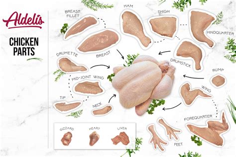 Thematic photo of various raw chicken parts, including bones and giblets