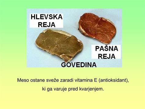 Infografika: primerjava hranilnih vrednosti mesa pašnih živali in živali iz intenzivne reje