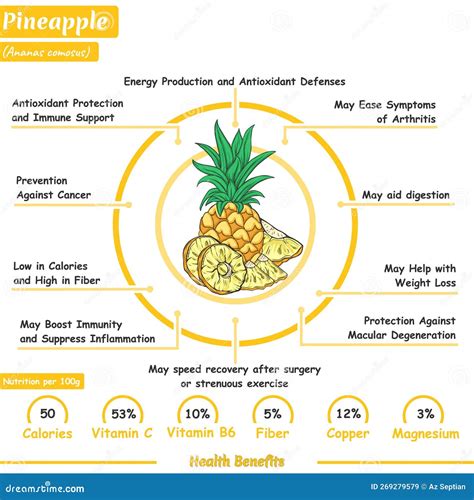 Graphic showing jota ingredients and nutritional benefits