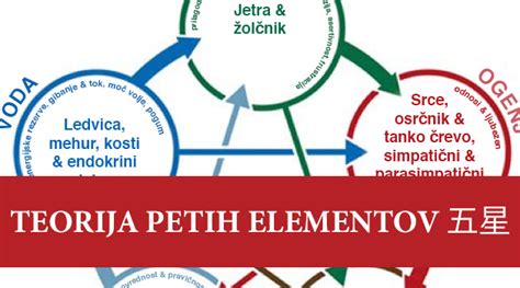 Diagram petih elementov v TKM s poudarkom na elementu Zemlja in organih vranica/želodec