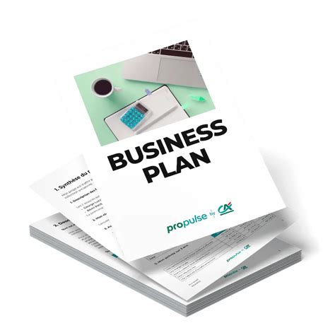 Infografika: struktura datoteke Business Plan Pro BPD