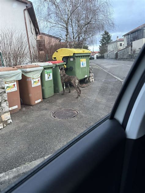 Zemljevid lokacije Doner Kebab na Gregorčičevi ulici 4 v Kranju