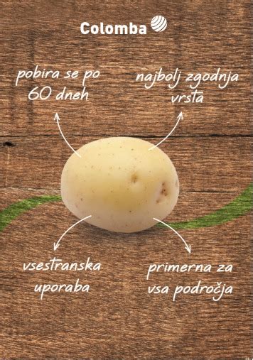 Infografika: kulinarični tipi krompirja in njihova uporaba