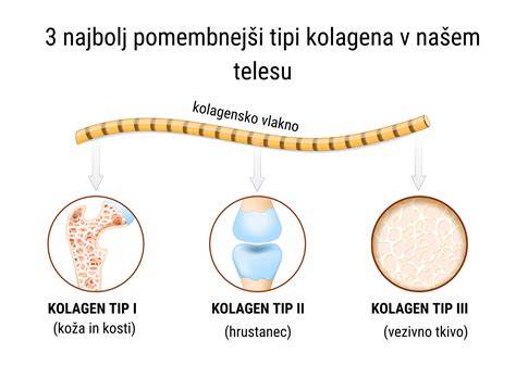 Infografika: struktura in vloga kolagena v telesu