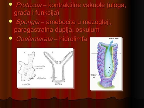 Slikovni prikaz različnih omak za zrezke