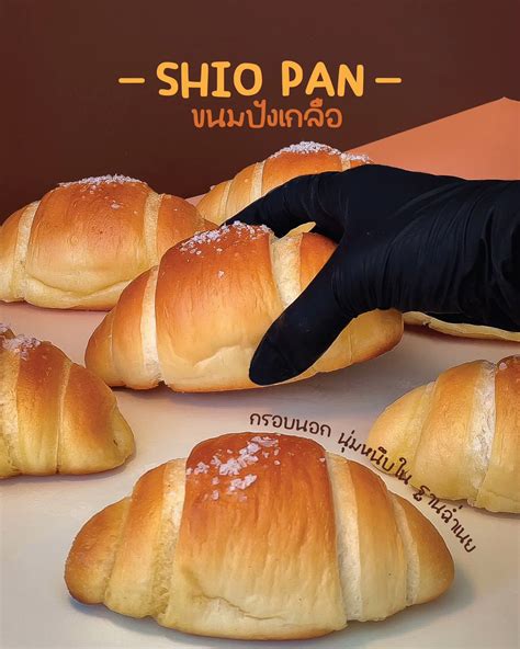 Shio pan rogljički